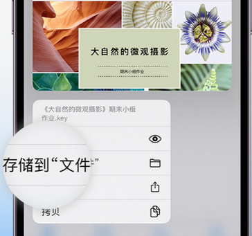 丰宁apple维修中心分享iPhone文件应用中存储和找到下载文件