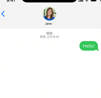 丰宁apple维修iPhone上无法正常发送iMessage信息