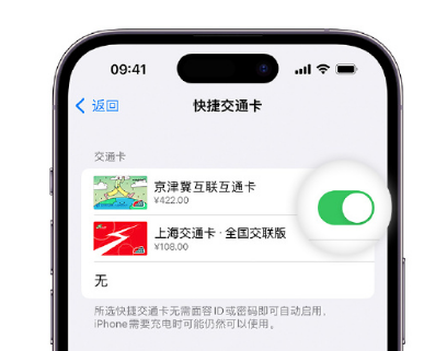 丰宁apple维修点分享iPhone上更换Apple Pay快捷交通卡手绘卡面 