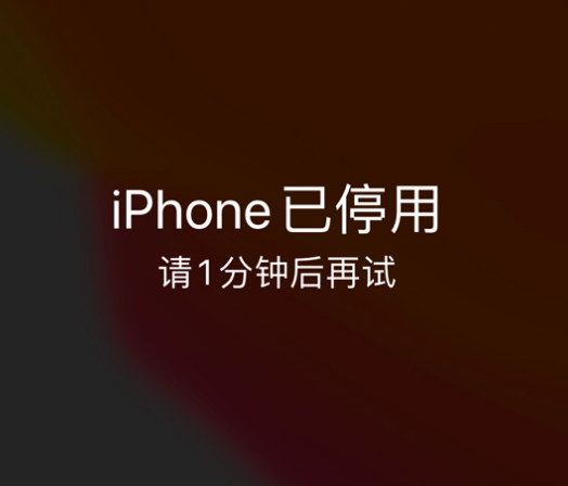 丰宁苹果手机维修分享:iPhone 显示“不可用”或“已停用”怎么办？还能保留数据吗？ 