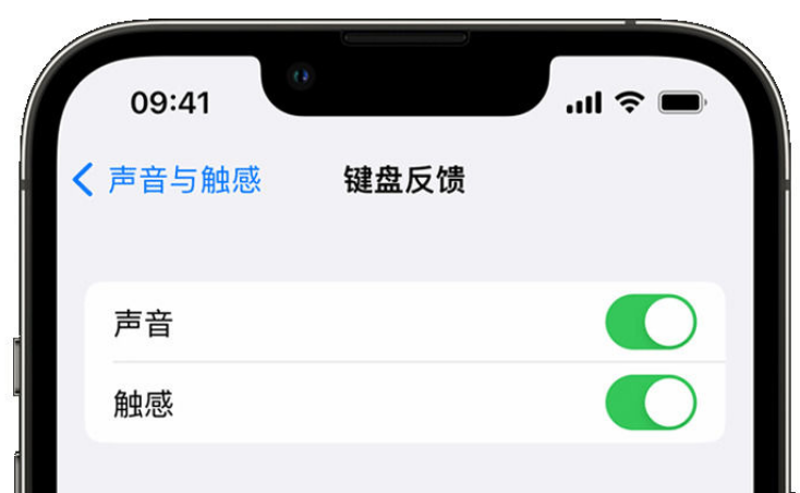 丰宁苹果手机维修分享iPhone 14触感键盘使用方法 