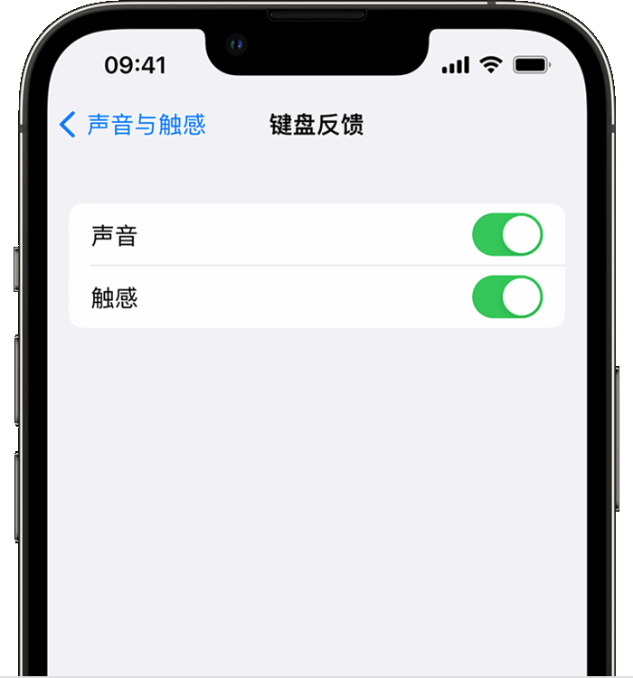 丰宁苹果14维修店分享如何在 iPhone 14 机型中使用触感键盘 