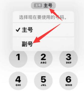 丰宁苹果14维修店分享iPhone 14 Pro Max使用副卡打电话的方法 