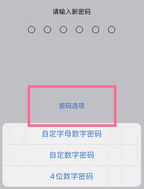 丰宁苹果14维修分享iPhone 14plus设置密码的方法 