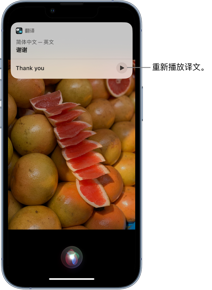 丰宁苹果14维修分享 iPhone 14 机型中使用 Siri：了解 Siri 能帮你做什么 