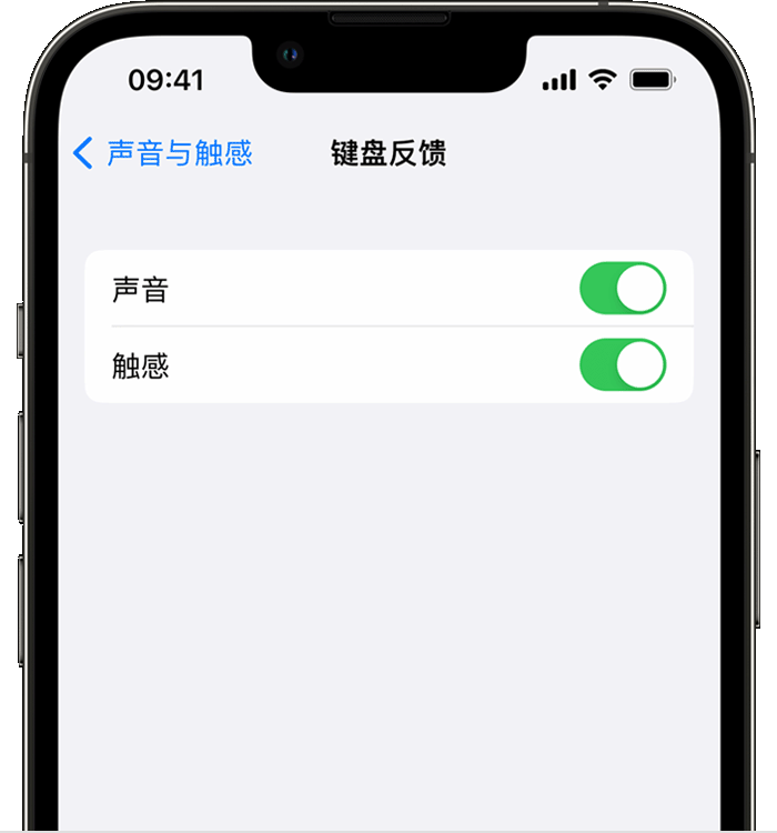 丰宁苹果14维修分享iPhone 14 系列机型如何开启键盘声音或触感反馈 