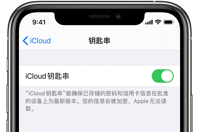 丰宁苹果手机维修分享在 iPhone 上开启 iCloud 钥匙串之后会储存哪些信息 