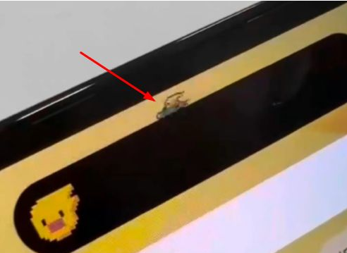 丰宁苹果14维修分享iPhone 14 Pro Max灵动岛怎么养宠物 