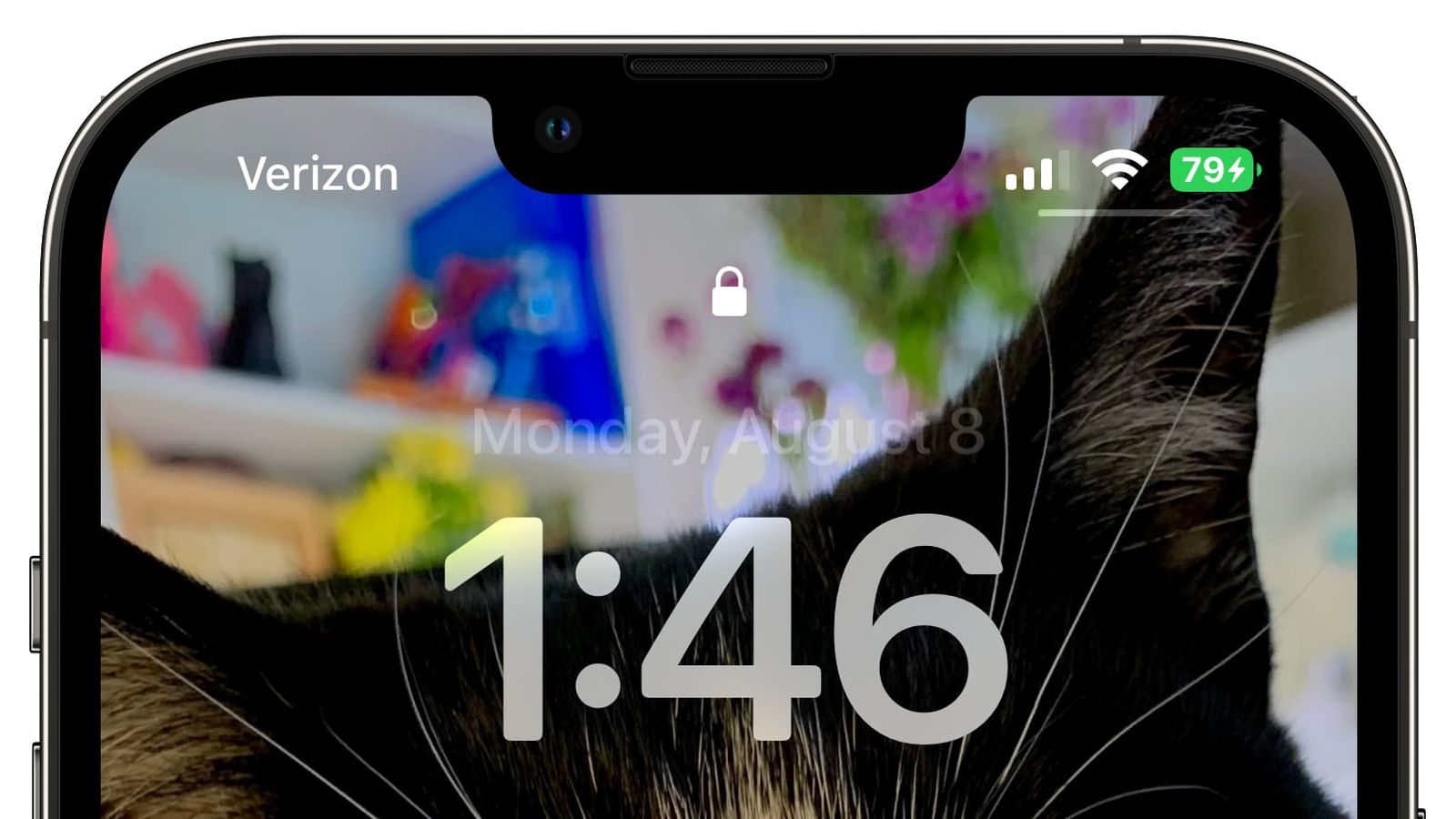 丰宁苹果手机维修分享iOS 16 beta 5 支持状态栏显示电池百分比，如何开启？支持哪些机型 
