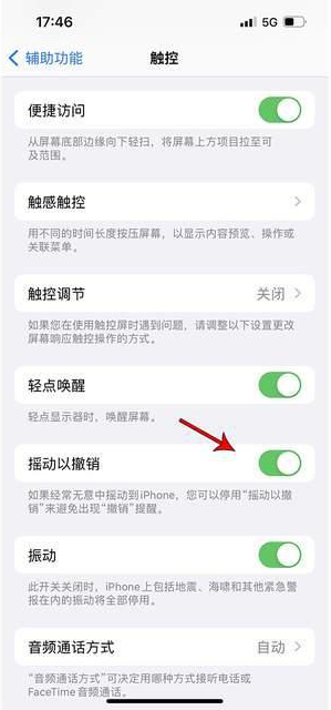 丰宁苹果手机维修分享iPhone手机如何设置摇一摇删除文字 