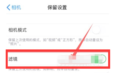 丰宁苹果13维修分享iPhone13拍照有绿点是怎么回事 